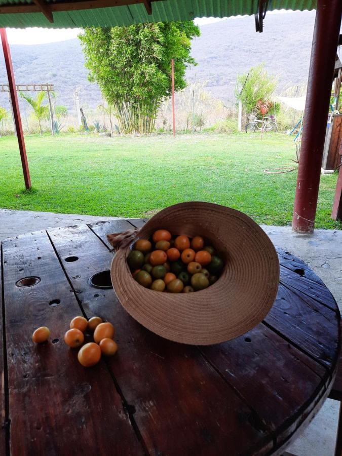 La Cabana De Blanca Халпан Екстериор снимка